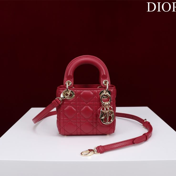 chr1st1an D10r my lady bags